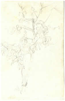 Visualizza l'immagine "FD D 279 r."